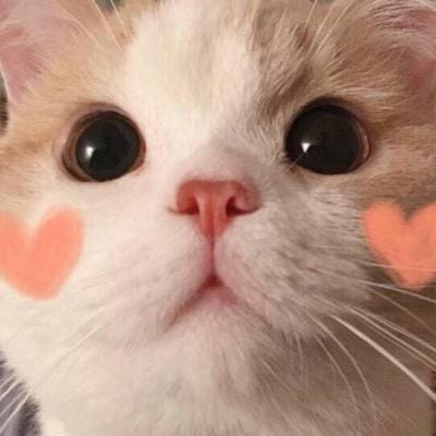 Dewi Lestari avatar