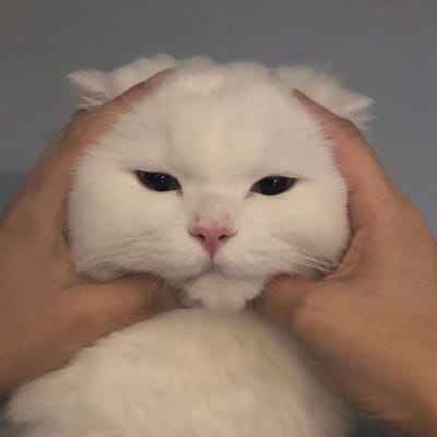 Eko Prasetyo avatar